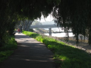 The Rose Creek Bike Path