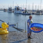 Volunteers get the rubber ducks ready to enter the race track. Photo by San Diego EarthWorks.