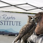Educators from The Raptor Institute taught the public about local birds of prey that live in the watershed. Photo by Eileen Maher.