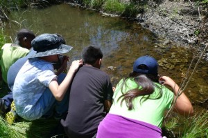 Nearby elementary students explore aquatic life in Rose Creek as part of Friends of Rose Canyon's Sense of Wonder Program.