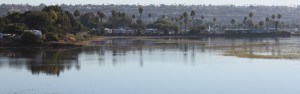 Campland on the Bay is situated between the mouth of Rose Creek and the Mission Bay Marshes.