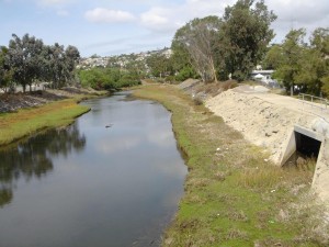 Storm drain into Lower Rose Creek. Photo: San Diego Earthworks