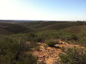 The Elliott Chaparral Reserve is located at the eastern tip of the watershed and is managed by the University of California.