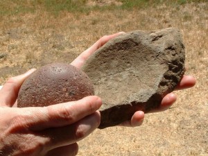 This metate (flat grinding stone) and mano (pestle) were excavated in Rose Canyon. The metate is a flat stone used to grint corn or acorns. The mano is the tool used to pound the seeds.