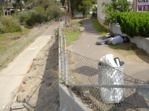 Bike path in Lower Rose Creek. Photo: San Diego Earthworks